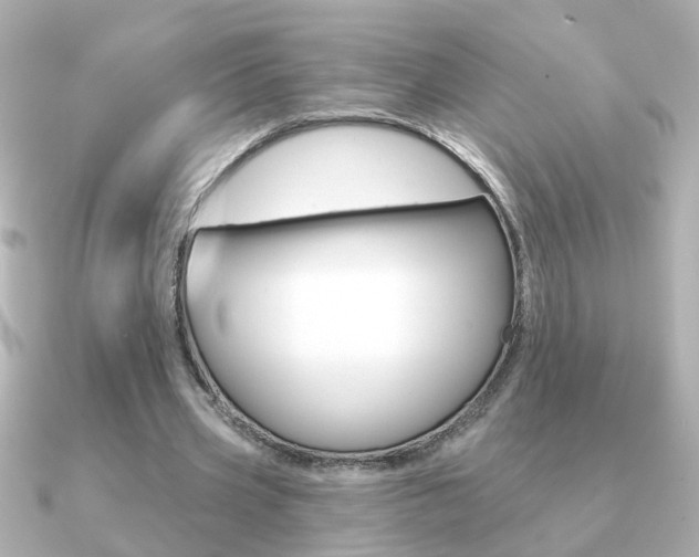 X0000091190533200708091024
