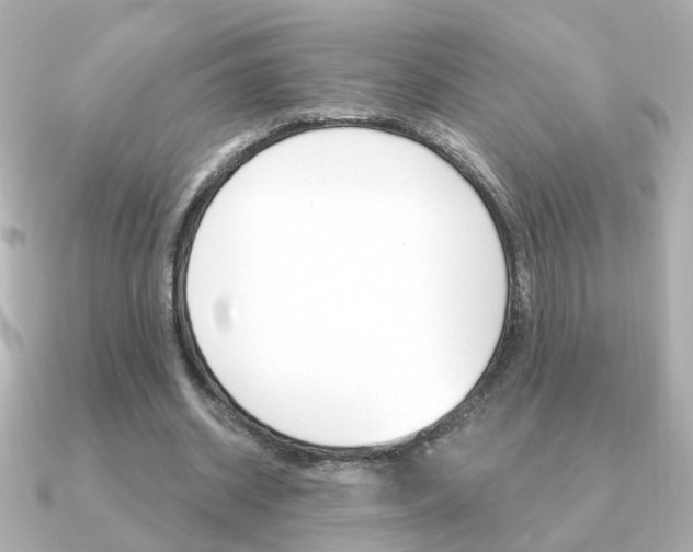 X0000091190534200708091024