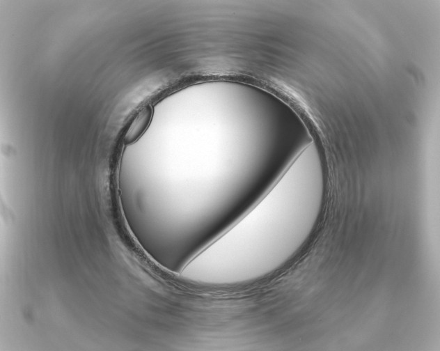 X0000091190535200708091024