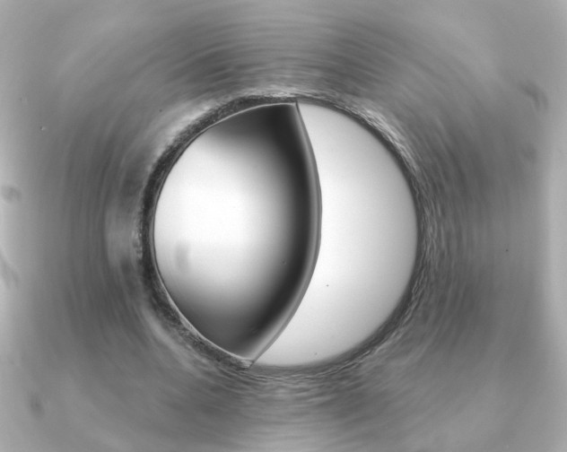 X0000091190536200708091024