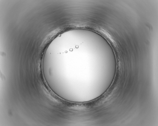 X0000091190537200708091024