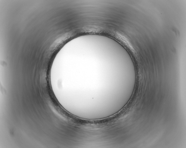 X0000091190538200708091024