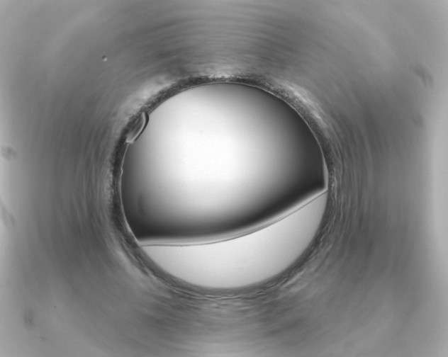 X0000091190540200708091024