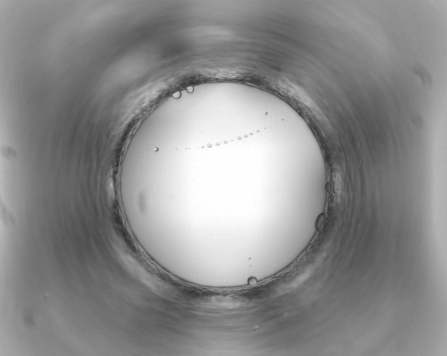 X0000091190541200708091024