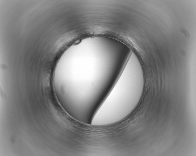X0000091190543200708091024