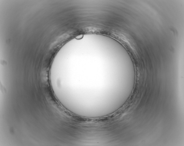 X0000091190545200708091024