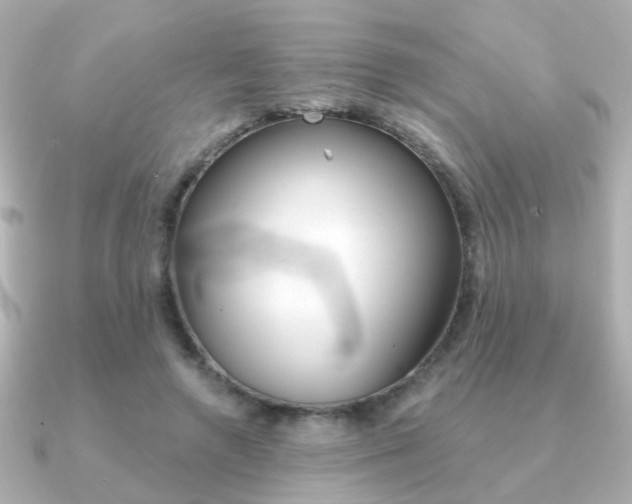 X0000091190546200708091024
