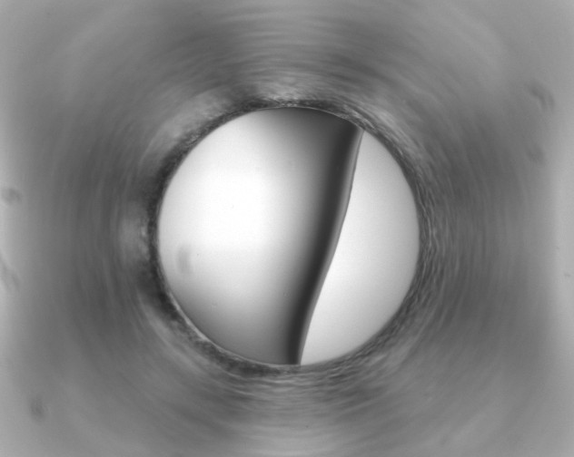 X0000091190547200708091024