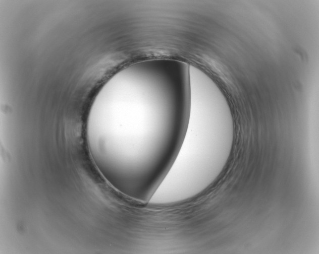 X0000091190548200708091024