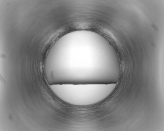 X0000091190549200708091024