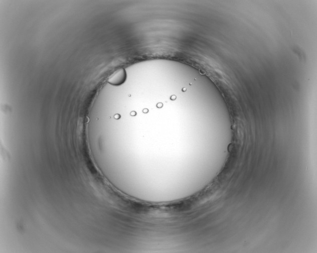 X0000091190550200708091024