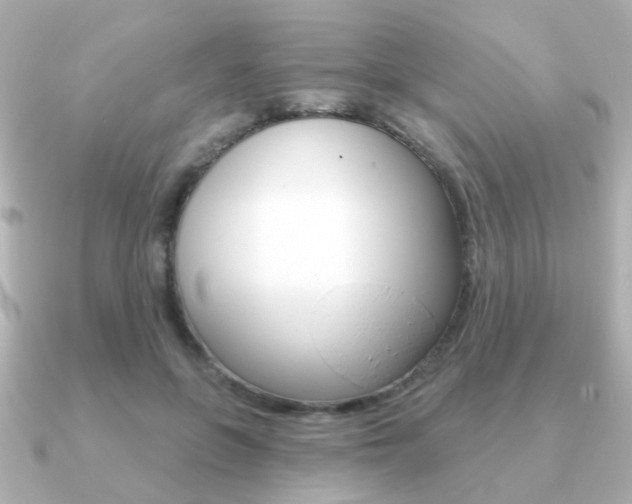 X0000091190551200708091024