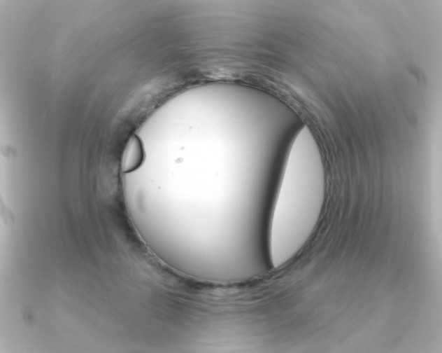 X0000091190554200708091024