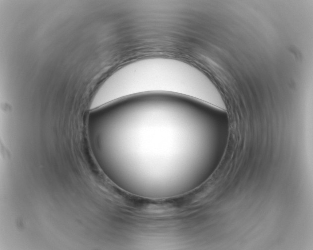 X0000091190556200708091024