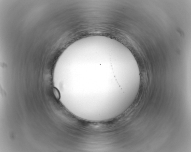 X0000091190557200708091024