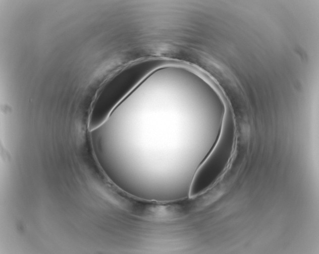 X0000091190558200708091024