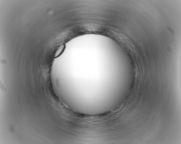 X0000091190559200708091024