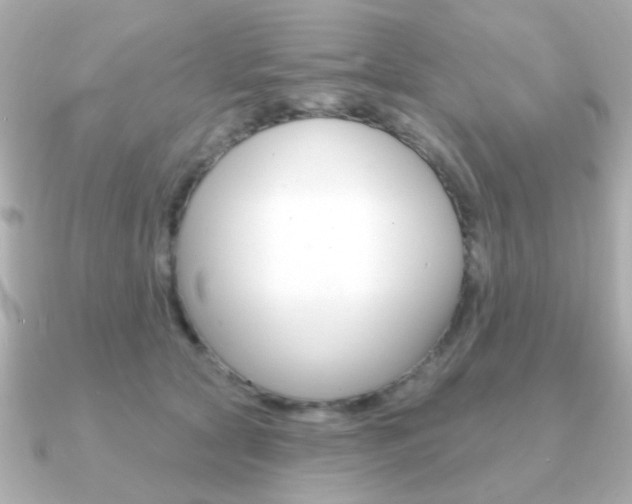 X0000091190561200708091024