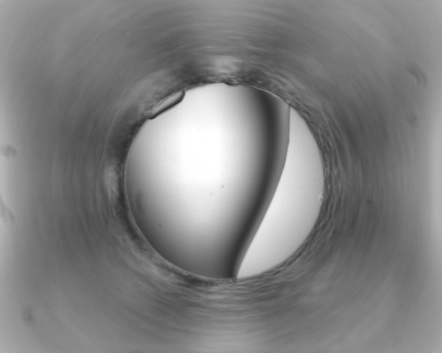 X0000091190562200708091024