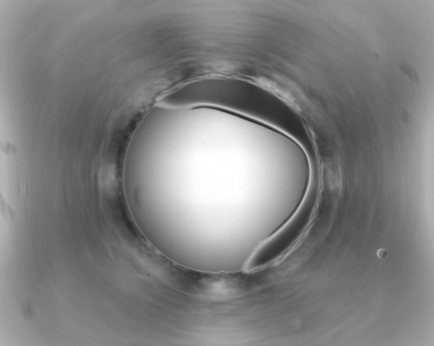 X0000091190564200708091024