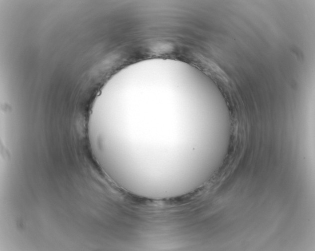 X0000091190565200708091024