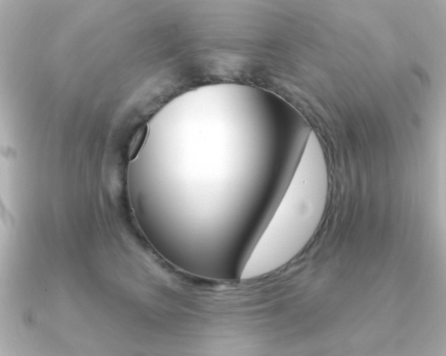 X0000091190566200708091024