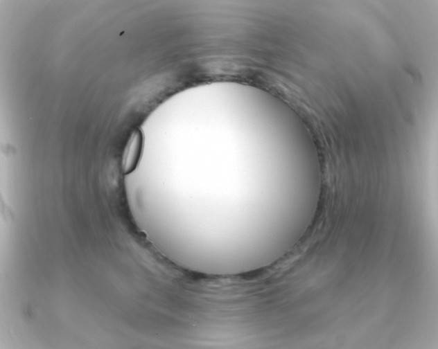 X0000091190567200708091024