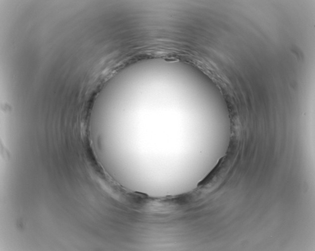 X0000091190568200708091024