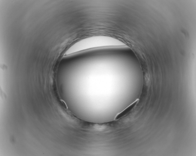 X0000091190570200708091024