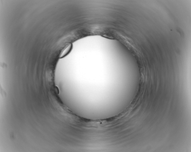 X0000091190571200708091024