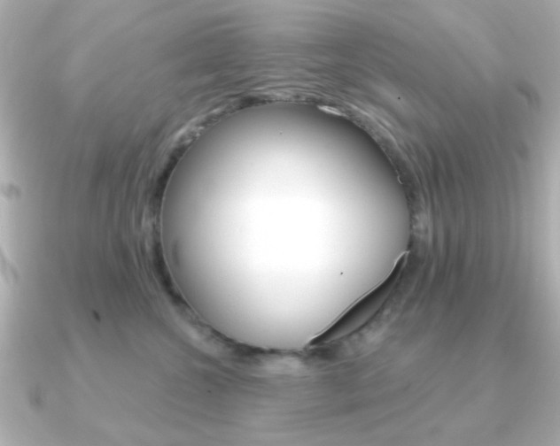 X0000091190572200708091024
