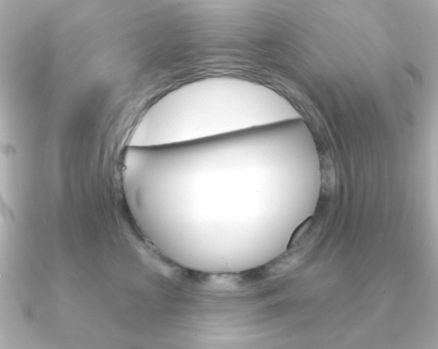 X0000091190573200708091024