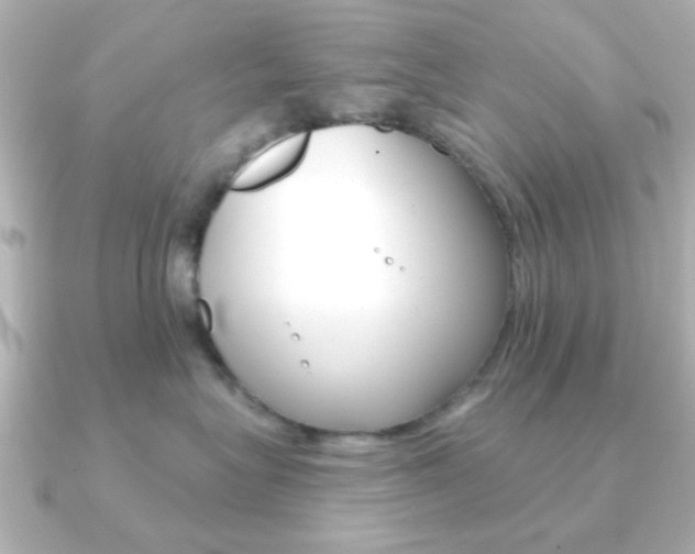 X0000091190575200708091024