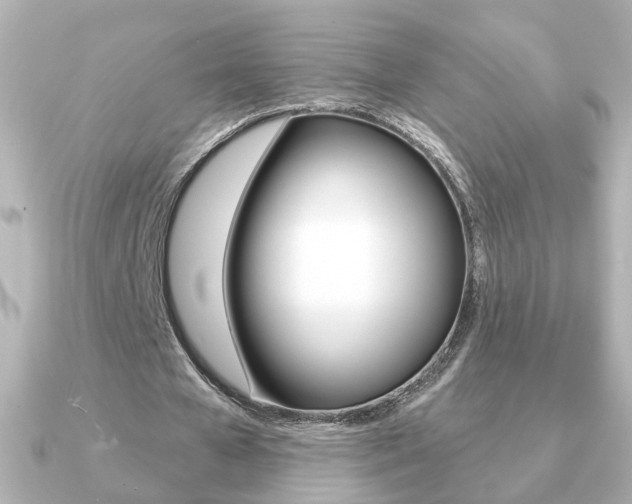X0000091190577200708091024