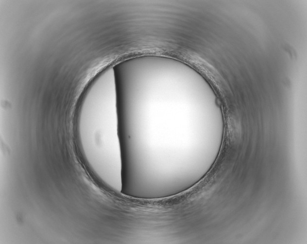 X0000091190578200708091024