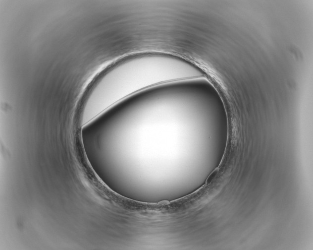 X0000091190580200708091024