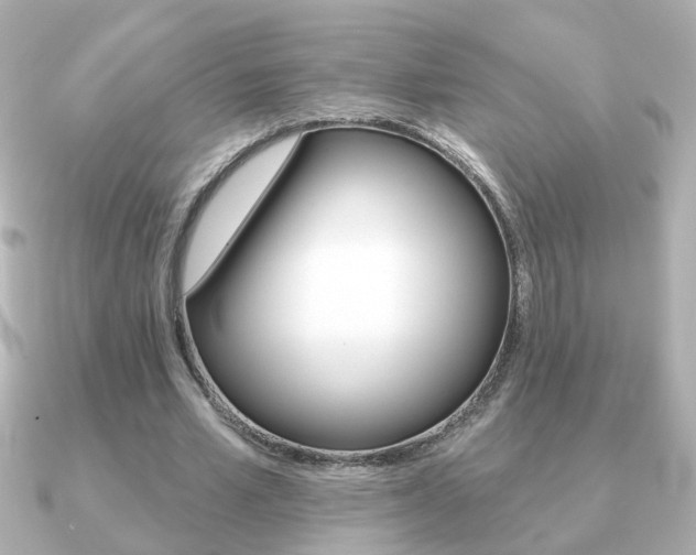 X0000091190581200708091024