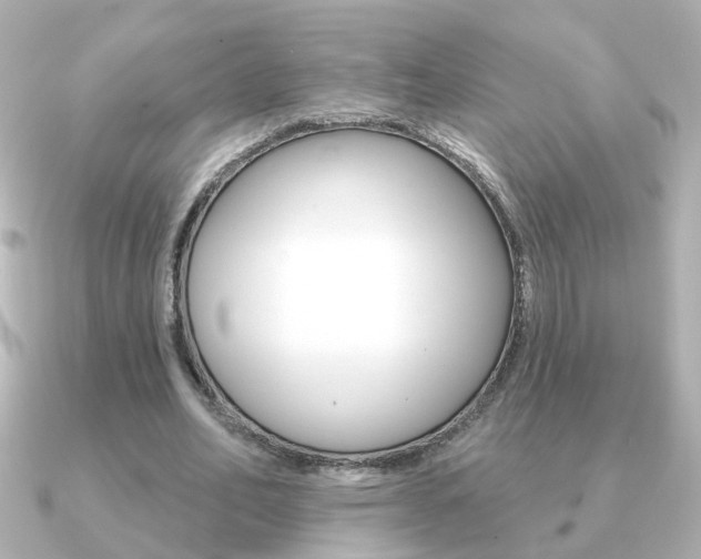 X0000091190582200708091024