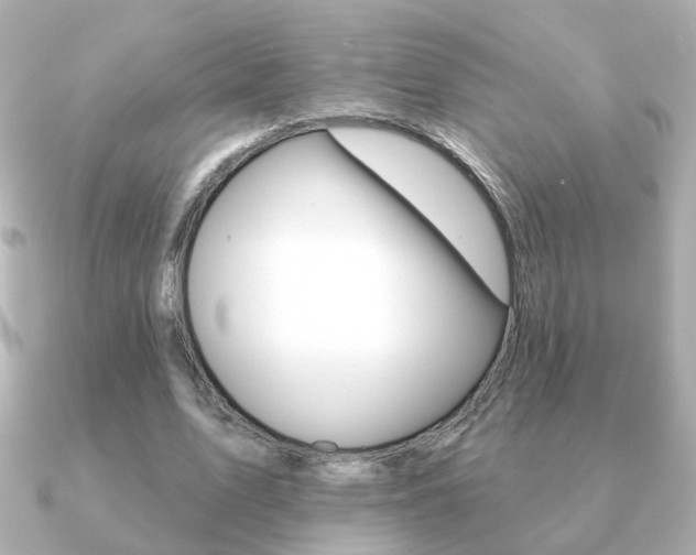 X0000091190583200708091024