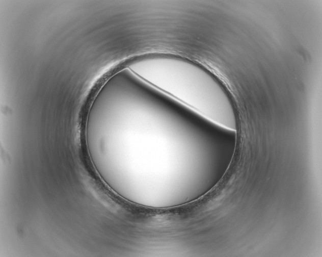 X0000091190584200708091024