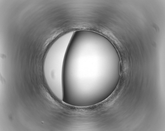 X0000091190585200708091024