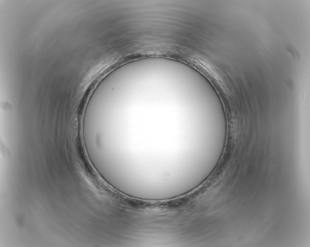 X0000091190586200708091024