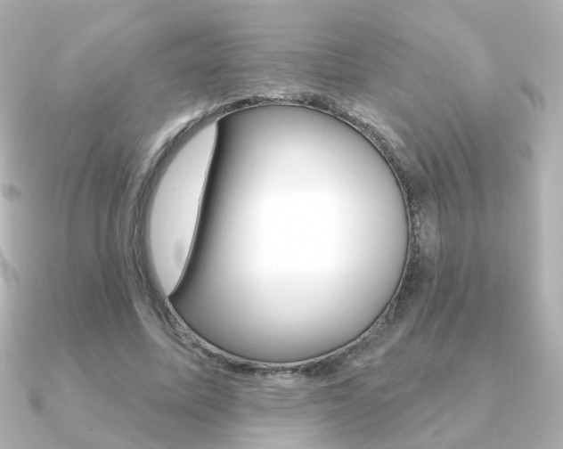 X0000091190587200708091024