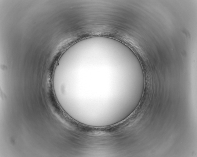 X0000091190590200708091024