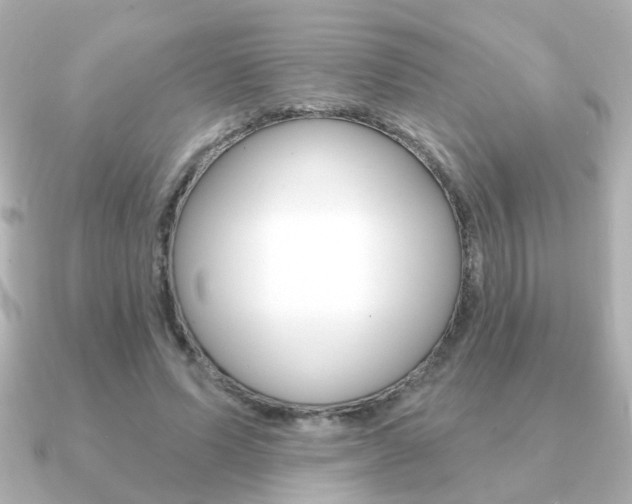 X0000091190591200708091024