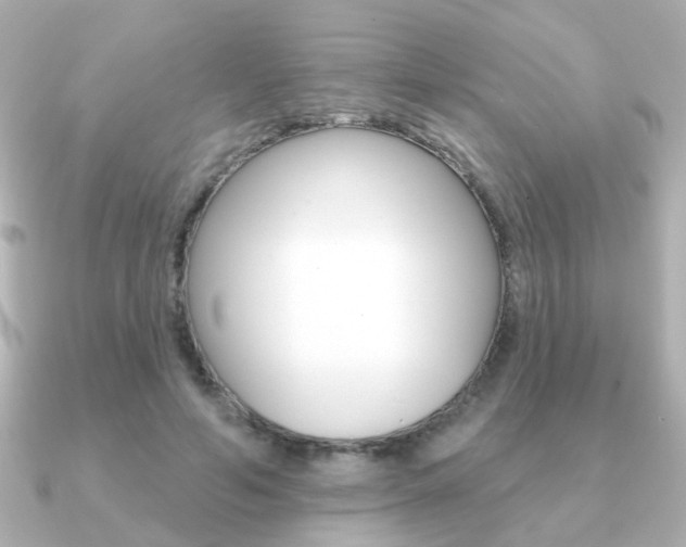 X0000091190594200708091024