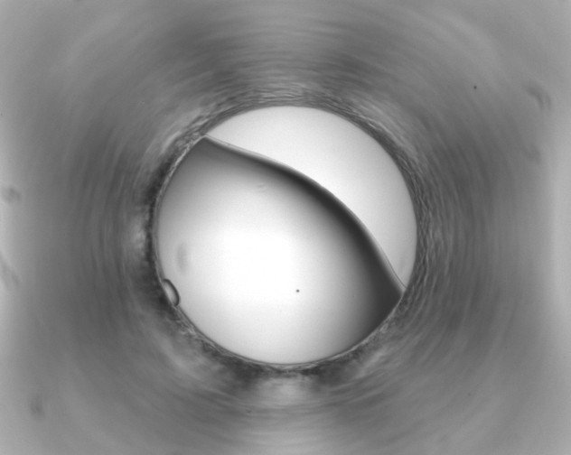 X0000091190595200708091024