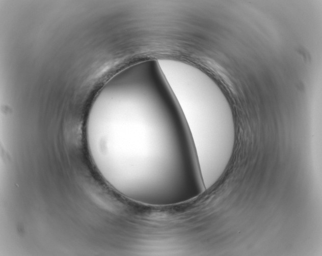 X0000091190596200708091023