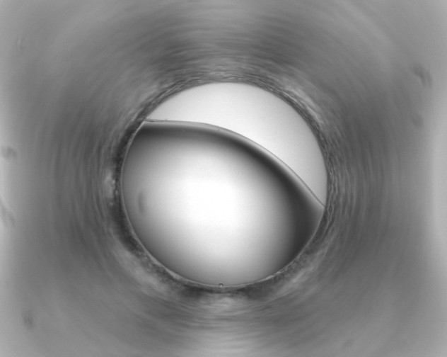 X0000091190597200708091023