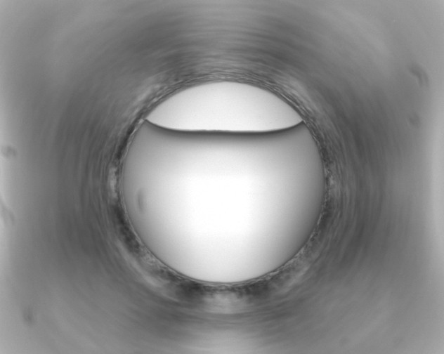 X0000091190598200708091023
